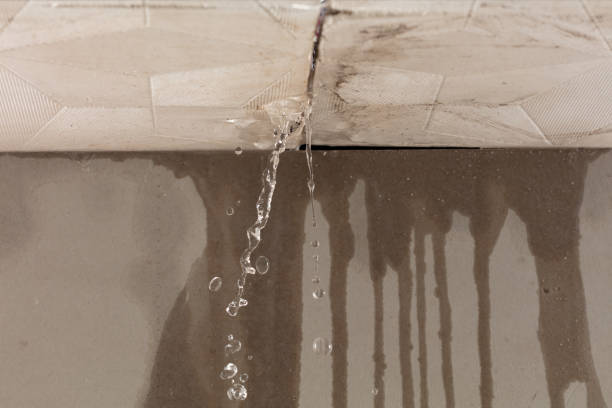 Professional Water Damage Inspection technician working in Seven Springs, NC